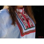 Северняшка двупрестилечна носия